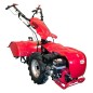 Motocultor Camon WMX720 6,5 Hp Motocultor Camon WMX720 6,5 Hp