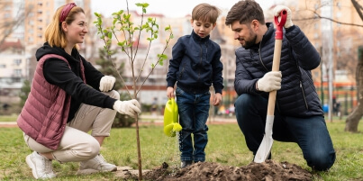  Plantando un Árbol con Cariño: Una Aventura para Padres e Hijos